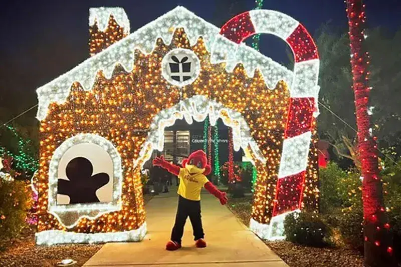 Red at Winterfest in Avondale